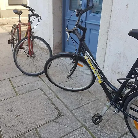 Bea With Free Bike And Bike Storage Apartment